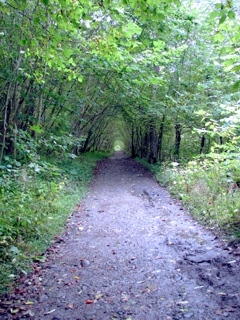 Scottish Trail